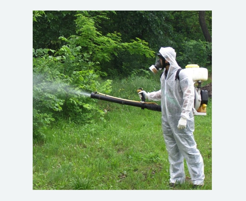 обработка территории от клещей Цветной бульвар метро Москвы