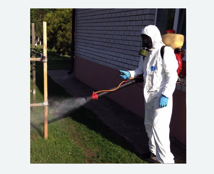 травля клещей на участке Цветной бульвар метро Москвы