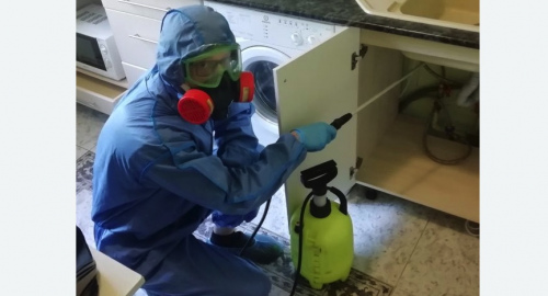 Уничтожение муравьев в квартире. Цветной бульвар