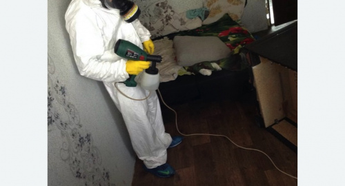 Обработка квартир от насекомых Цветной бульвар метро Москвы