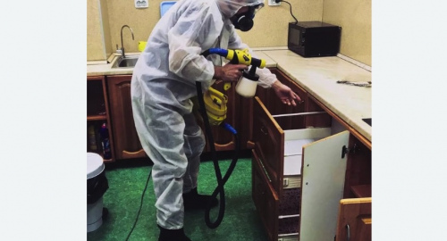 Дезинсекция квартиры. Цветной бульвар