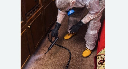 Обработка от тараканов холодным газом