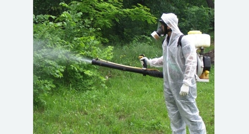 Дезинфекция территории от клещей. Цветной бульвар