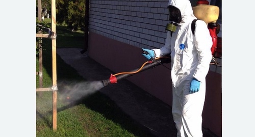 Уничтожение клещей на участке Цветной бульвар метро Москвы