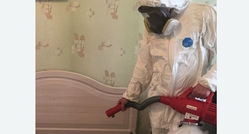 Уничтожение клещей в квартире. Цветной бульвар