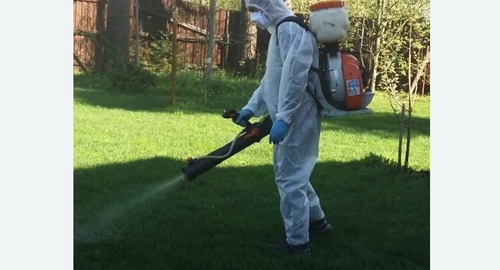 Обработка участка от клещей Цветной бульвар метро Москвы