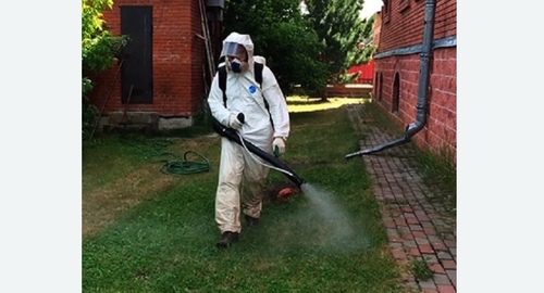 Обработка территории от клещей. Цветной бульвар