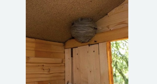 Обработка от ос Цветной бульвар метро Москвы