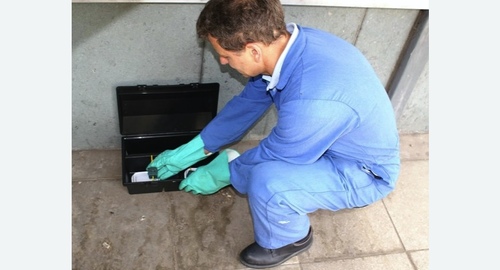 Уничтожение мышей. Цветной бульвар