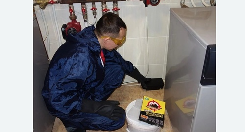 Дератизация крыс. Цветной бульвар