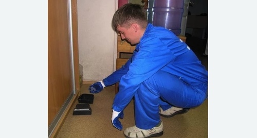 Обработка от крыс Цветной бульвар метро Москвы