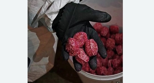 Травля крыс. Цветной бульвар