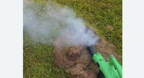 Обработка от кротов Цветной бульвар метро Москвы