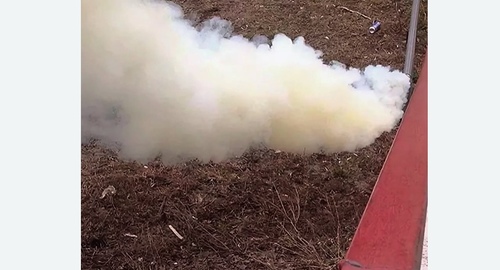 Уничтожение кротов на участке Цветной бульвар метро Москвы