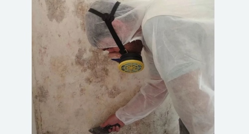 Обработка стен от плесени Цветной бульвар метро Москвы