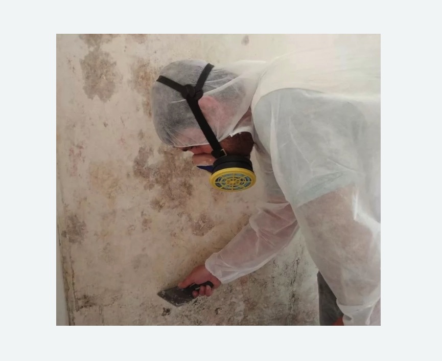 Обработка стен от плесени Цветной бульвар метро Москвы