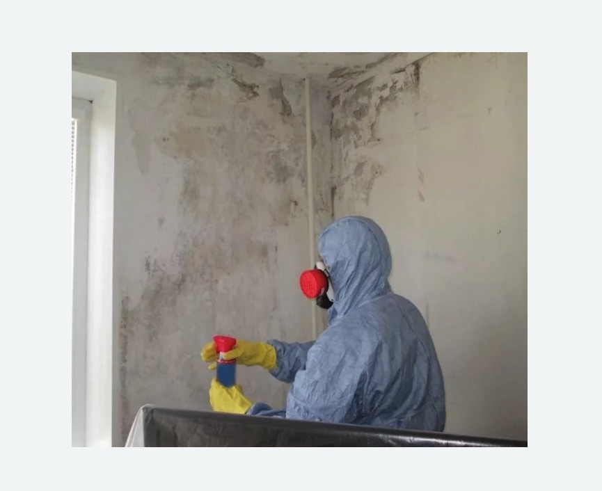 Удаление плесени в квартире Цветной бульвар метро Москвы