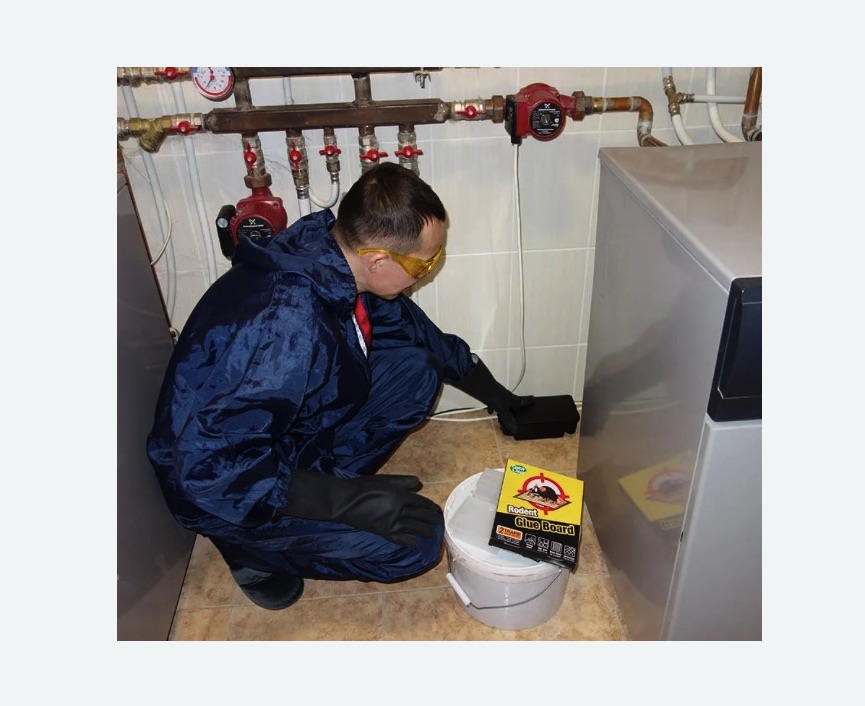 Уничтожение крыс Цветной бульвар метро Москвы