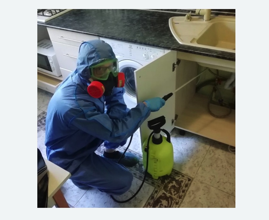 обработка от муравьев в квартире Цветной бульвар метро Москвы