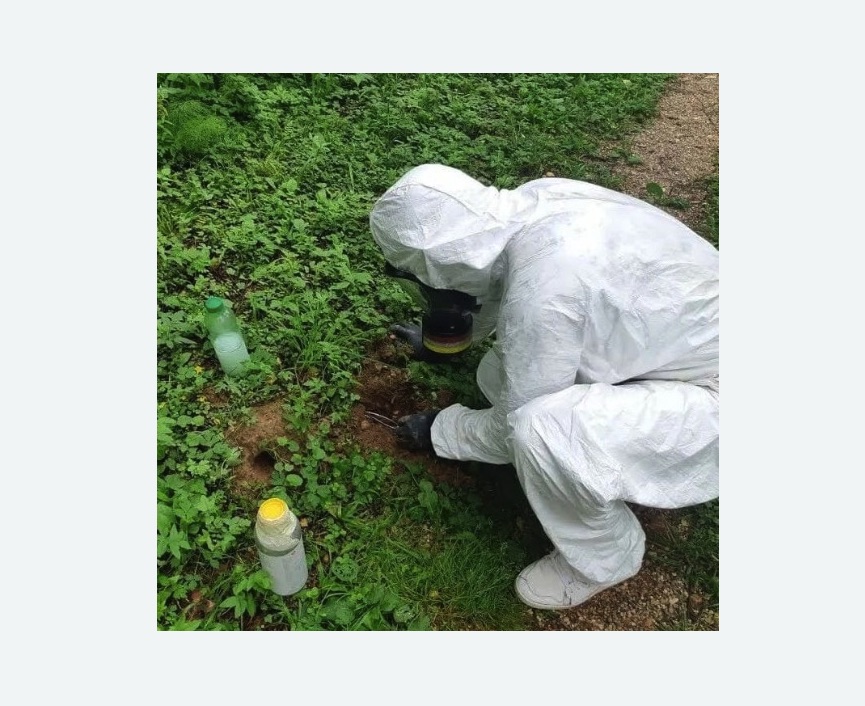 уничтожение кротов на участке Цветной бульвар метро Москвы