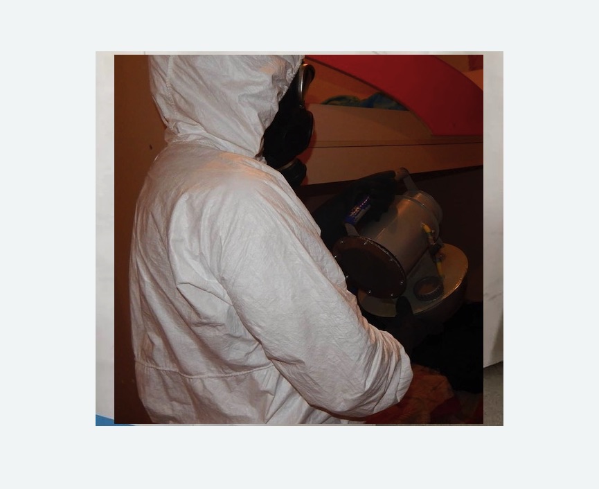 Дезинфекция от муравьев Цветной бульвар метро Москвы